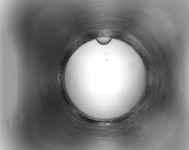 X0000093740169200710160757
