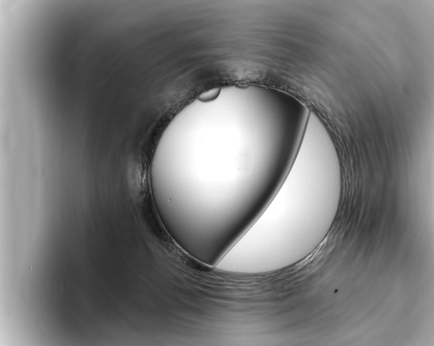 X0000093740176200710160757