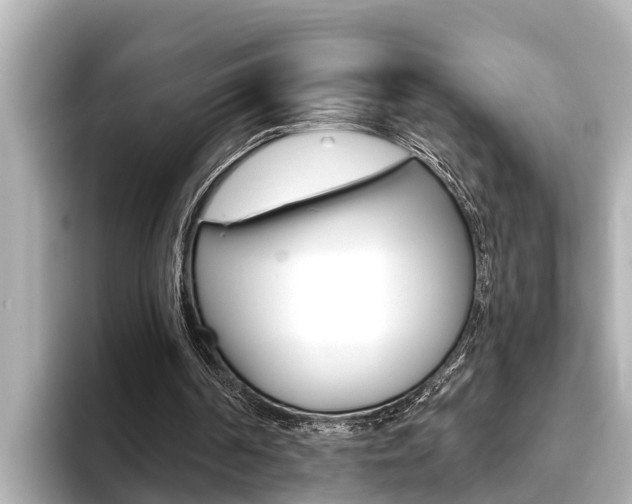 X0000093740194200710160757