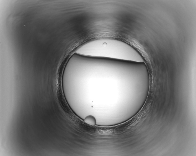 X0000093740202200710160757