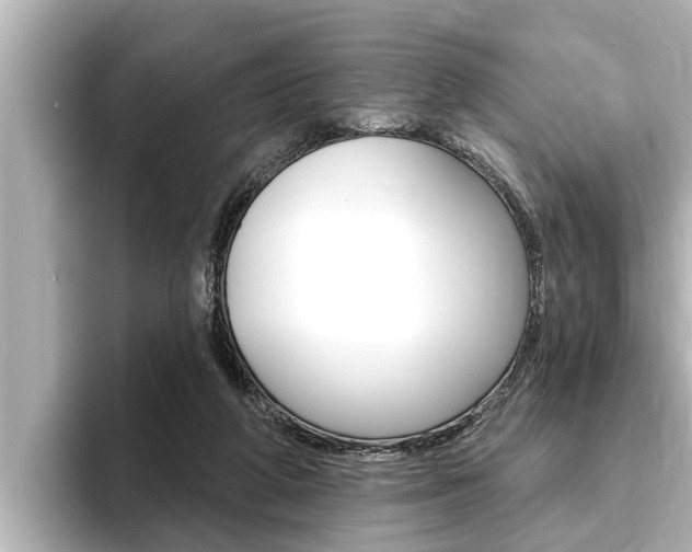 X0000093740210200710160757