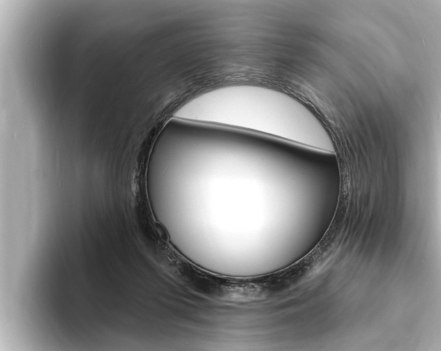X0000093740215200710160756