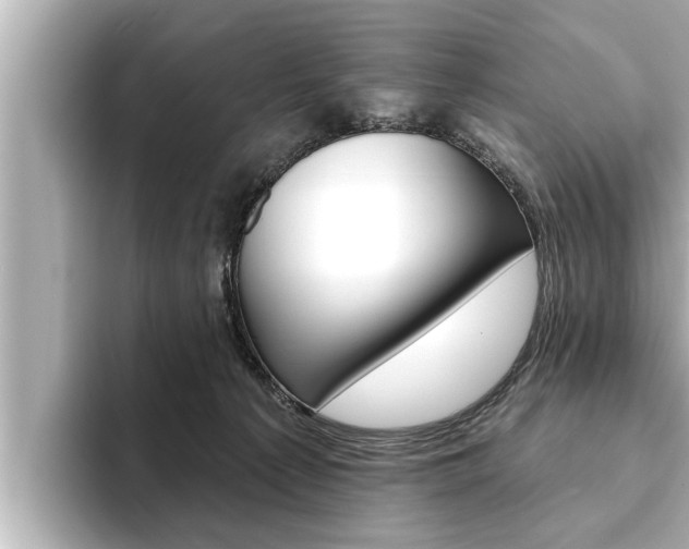 X0000093740225200710160756