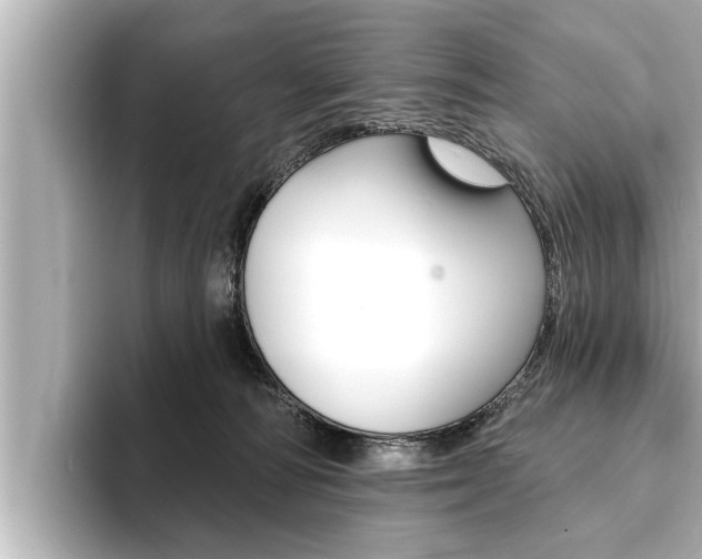 X0000093740226200710160756