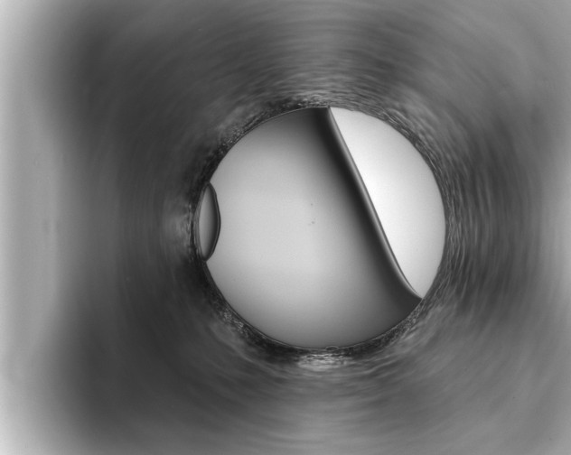 X0000093740231200710160756