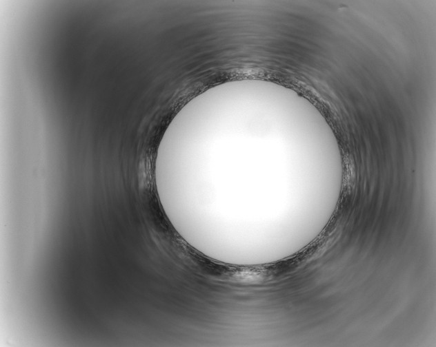 X0000093740236200710160756