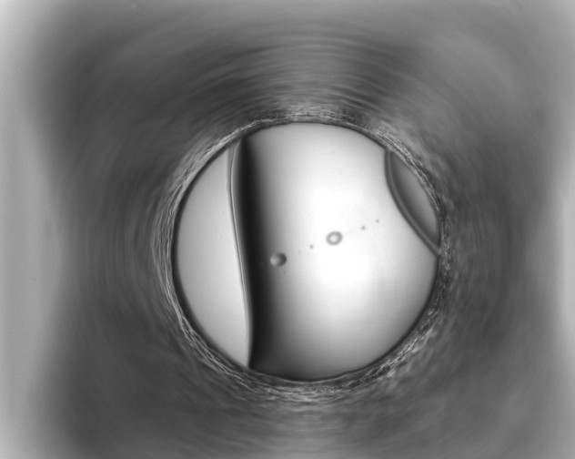 X0000093740241200710160755