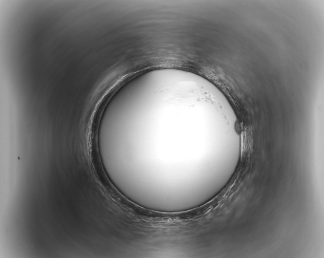 X0000093740243200710160756