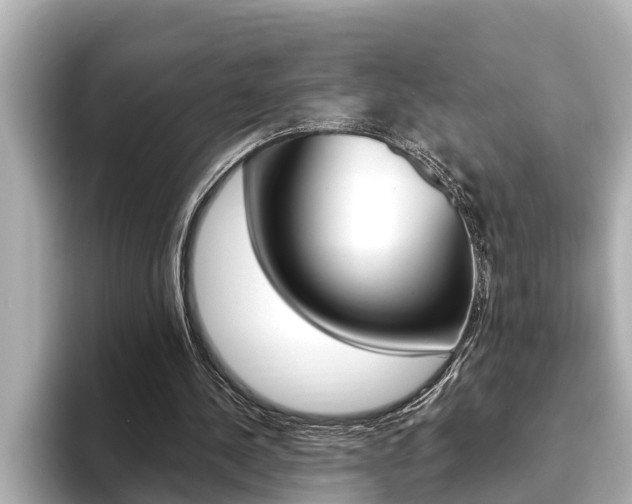 X0000093740244200710160756
