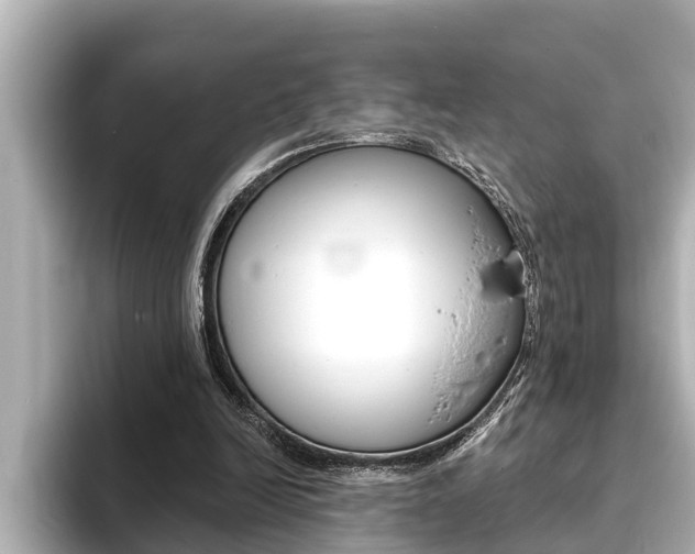 X0000093740246200710160756