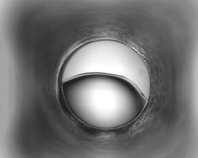 X0000093740248200710160756