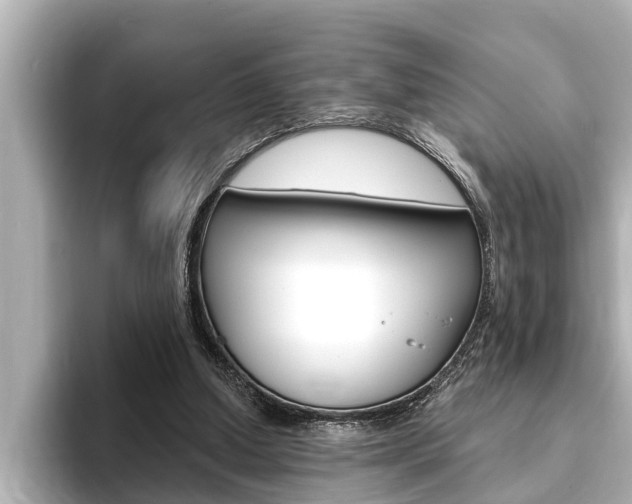 X0000093740250200710160756