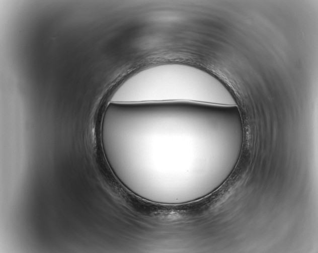 X0000093740254200710160756