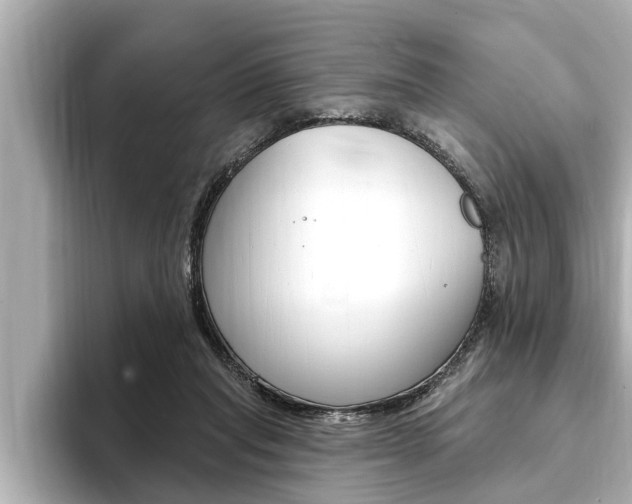 X0000093740261200710160756