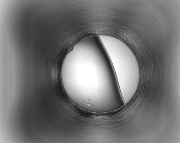 X0000093740268200710160756