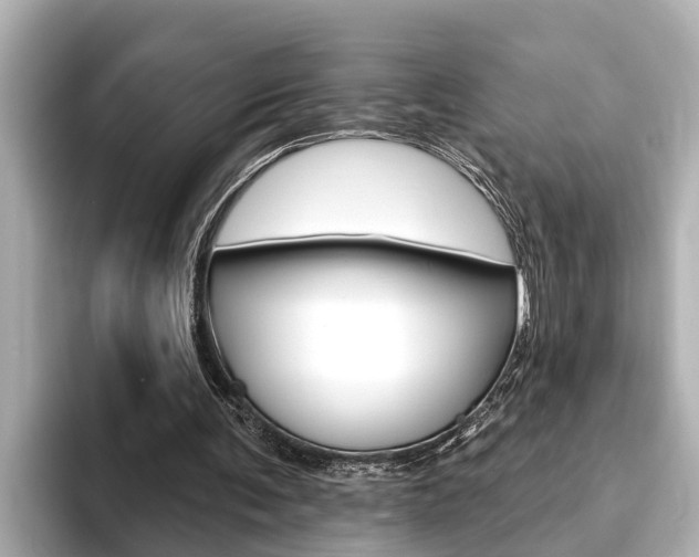 X0000093740291200710160755