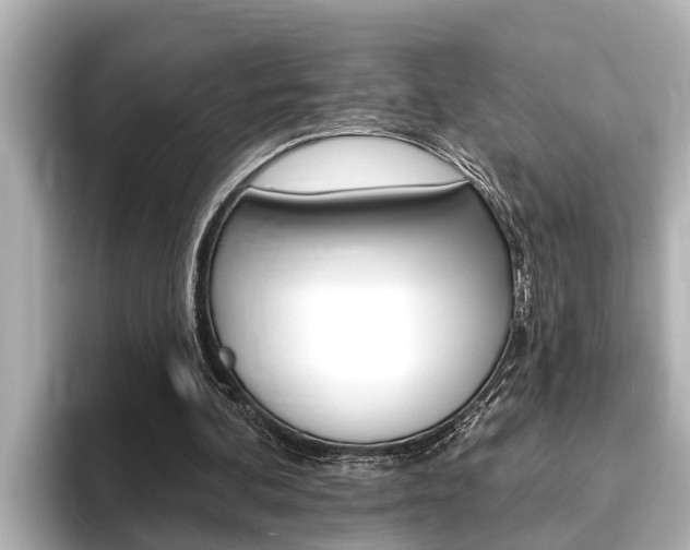 X0000093740292200710160755
