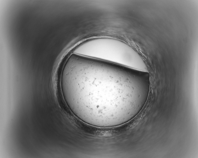 X0000093740295200710160755