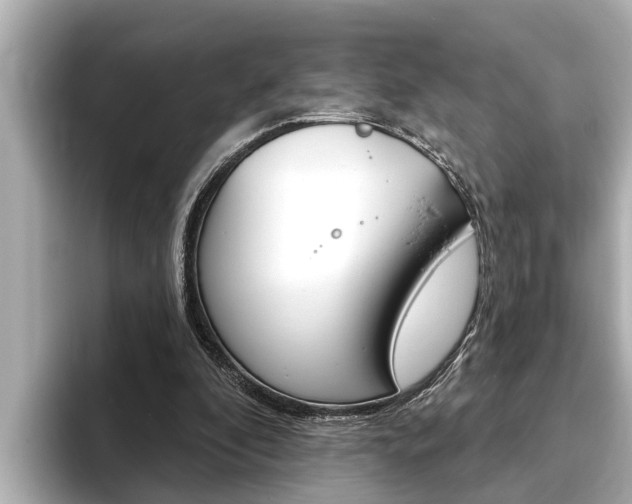 X0000093740296200710160755