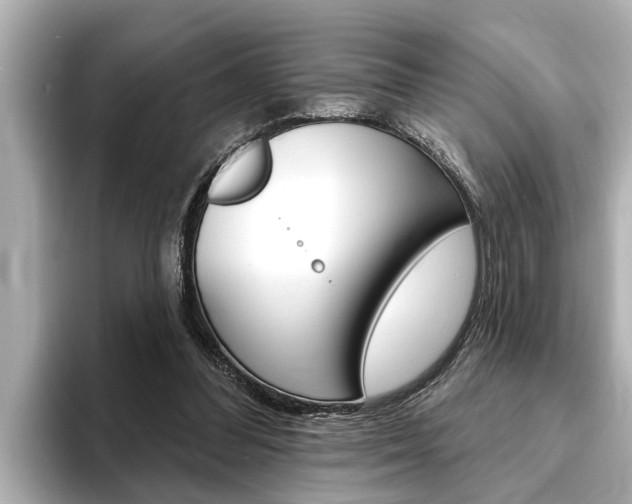 X0000093740300200710160755