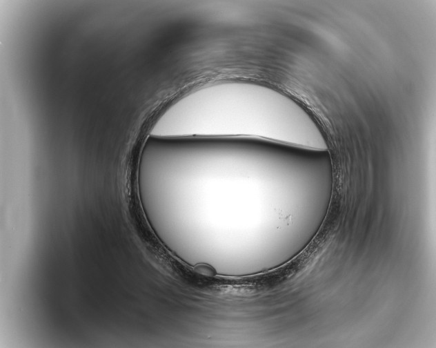 X0000093740303200710160755