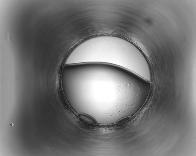 X0000093740305200710160755