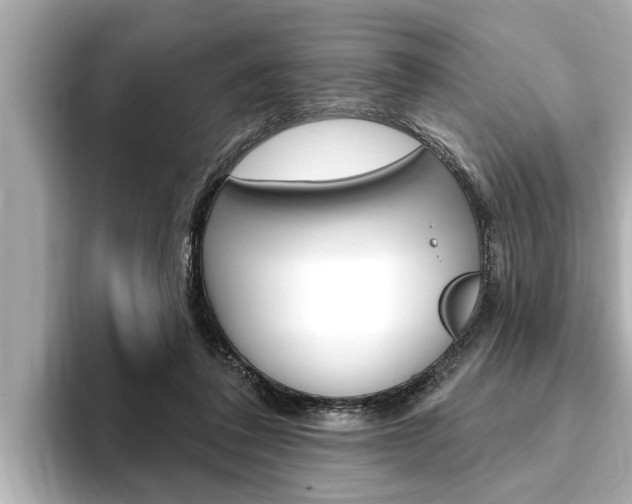 X0000093740308200710160755