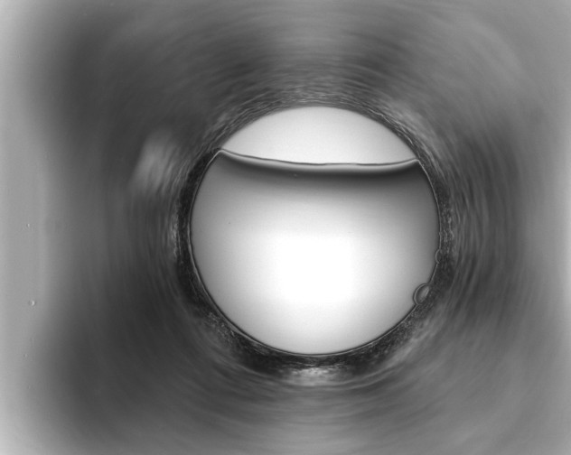 X0000093740312200710160755