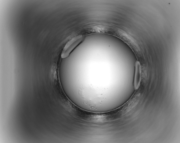 X0000093740313200710160755