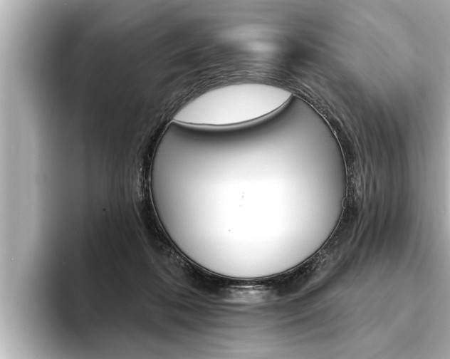 X0000093740316200710160755