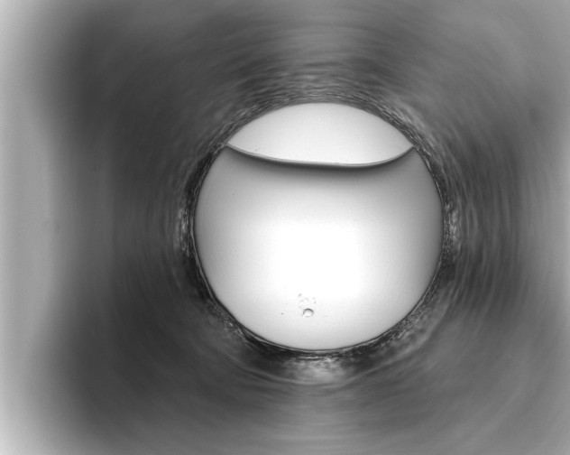 X0000093740322200710160755