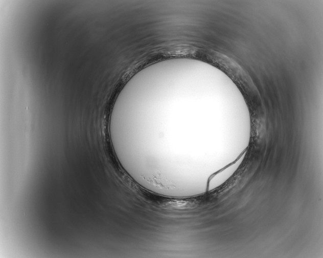 X0000093740326200710160755