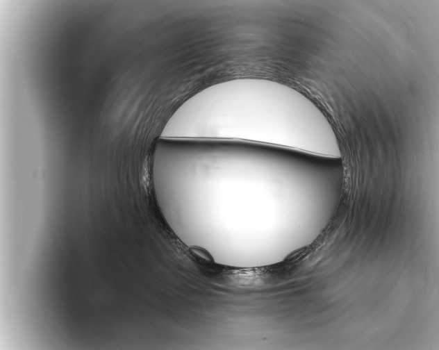 X0000093740335200710160755