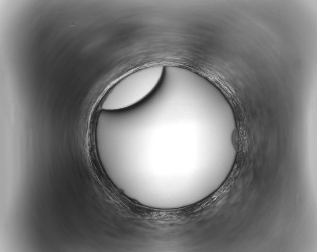 X0000093740338200710160754