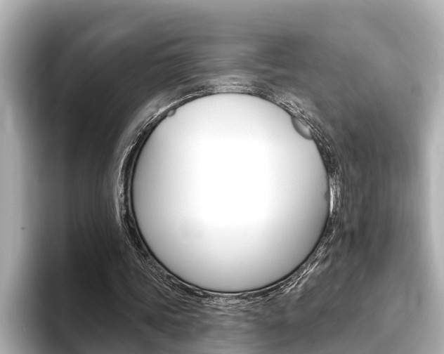 X0000093740339200710160754