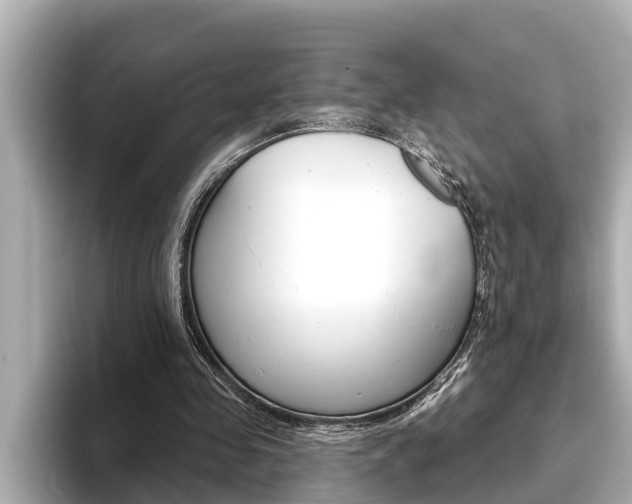 X0000093740341200710160754
