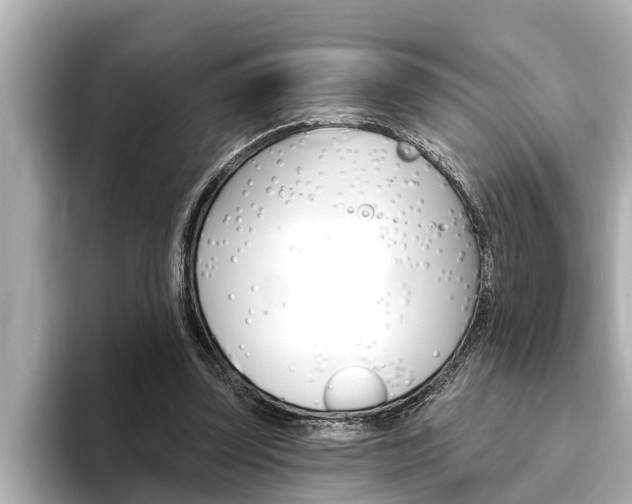 X0000093740347200710160754