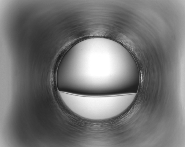 X0000093740348200710160754
