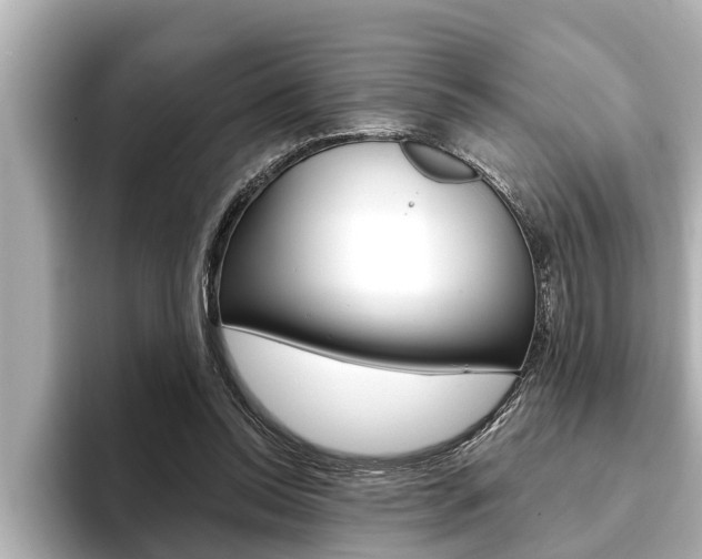 X0000093740350200710160754