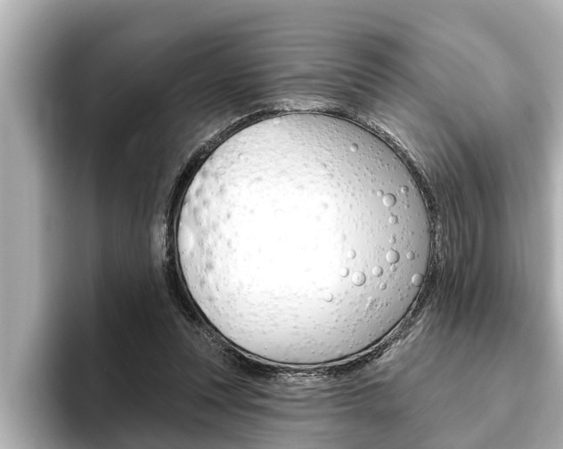 X0000093740351200710160754
