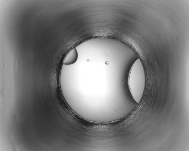 X0000093740354200710160754