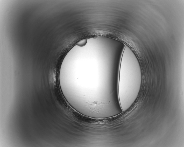 X0000093740358200710160755