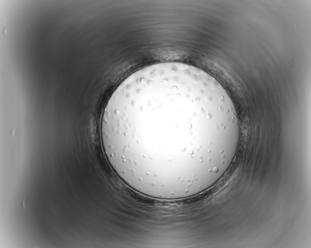 X0000093740359200710160755