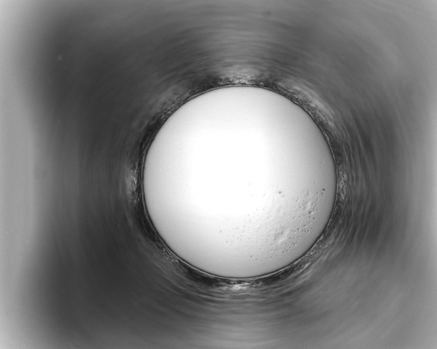 X0000093740365200710160755