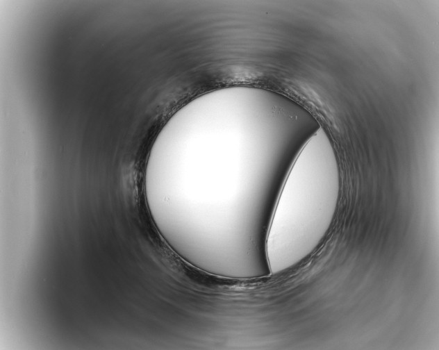 X0000093740366200710160755