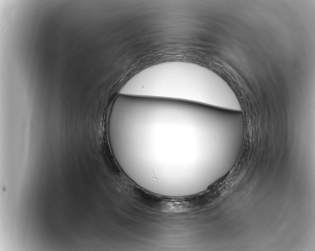 X0000093740372200710160755