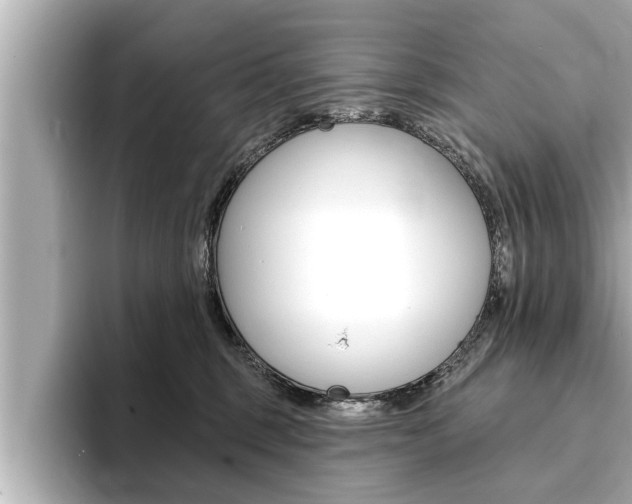 X0000093740375200710160755