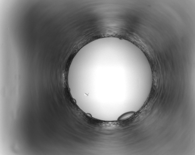 X0000093740378200710160755