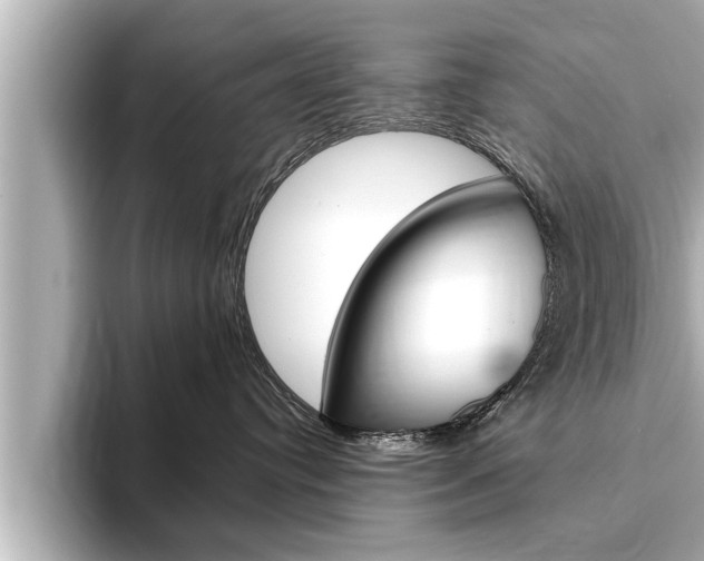 X0000093740384200710160755