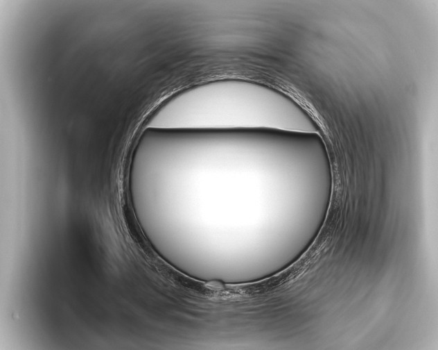 X0000093740386200710160754